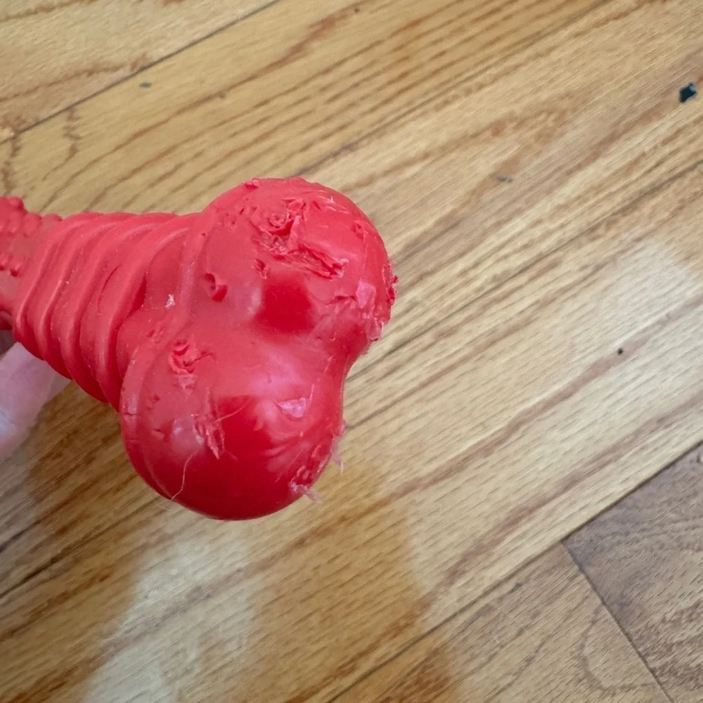 Nylabone Red Small to Medium Size Dog Hard Chew Dog Toy